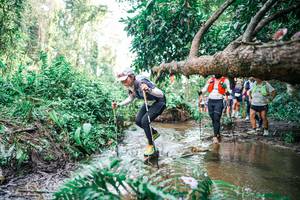 BIB: 
                            <button type="button" onclick="openModal(25515473)" class="btn btn-primary btn-sm float-right btn-popup" data-toggle="modal" data-target=".modal-high-quality">
                        <i class="fas fa-shopping-cart"></i> Add to Cart
                    </button>
                                            <button type="button" onclick="isThisMe(25515473, true)" class="btn btn-success btn-sm float-right btn-popup btn-isme hidden" data-toggle="tooltip" data-placement="bottom" title="นี่คือรูปของคุณใช่ไหม คลิกที่นี่เพื่อเอาเข้าอัลบั้ม">
                        <i class="fas fa-plus"></i> Add to album
                    </button>
                    <button type="button" onclick="isThisMe(25515473, false)" class="btn btn-warning btn-sm float-right btn-popup btn-isnotme hidden">
                        <i class="fas fa-ban"></i> Remove from album
                    </button>